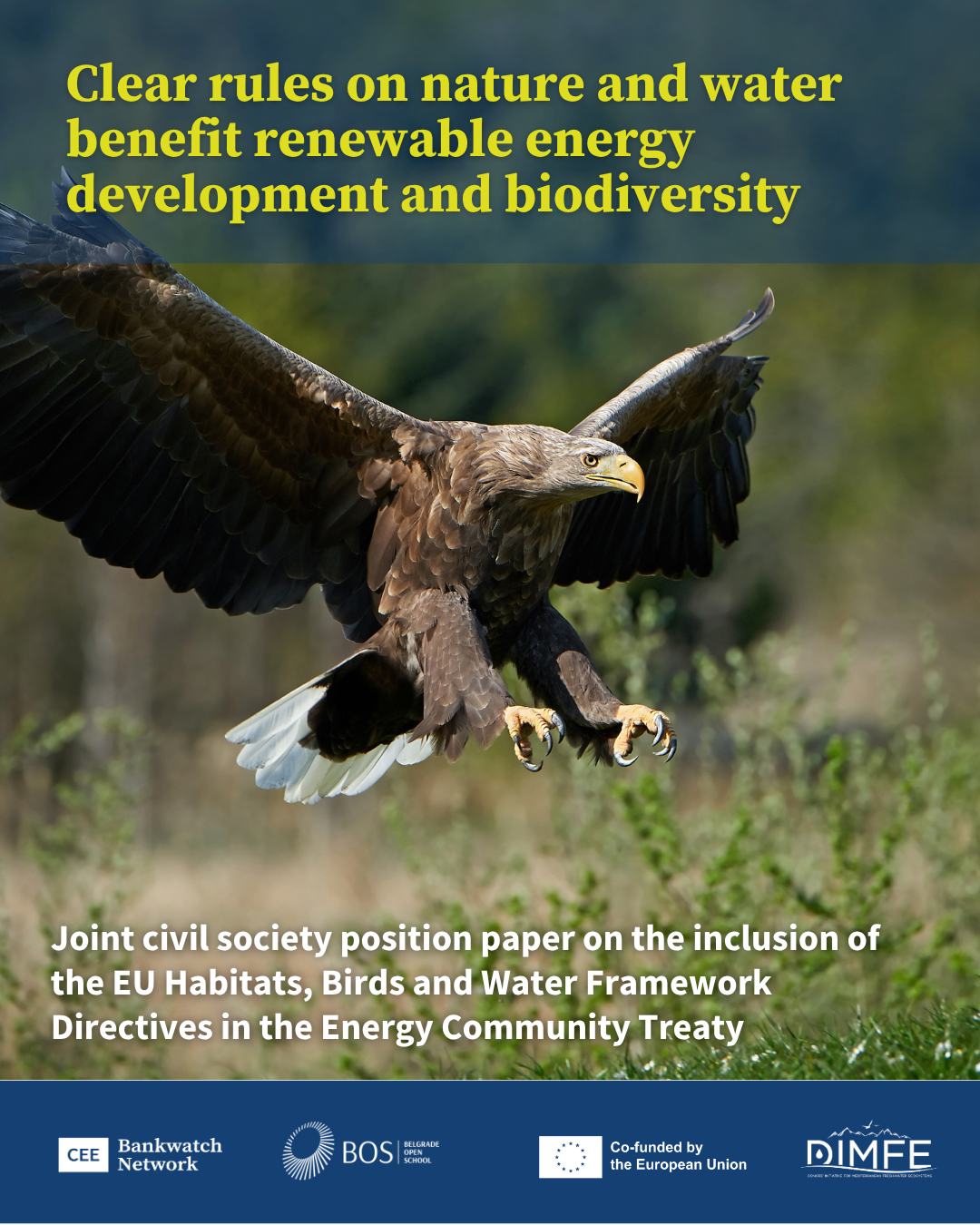 Clear rules on nature and water benefit renewable energy development and biodiversity