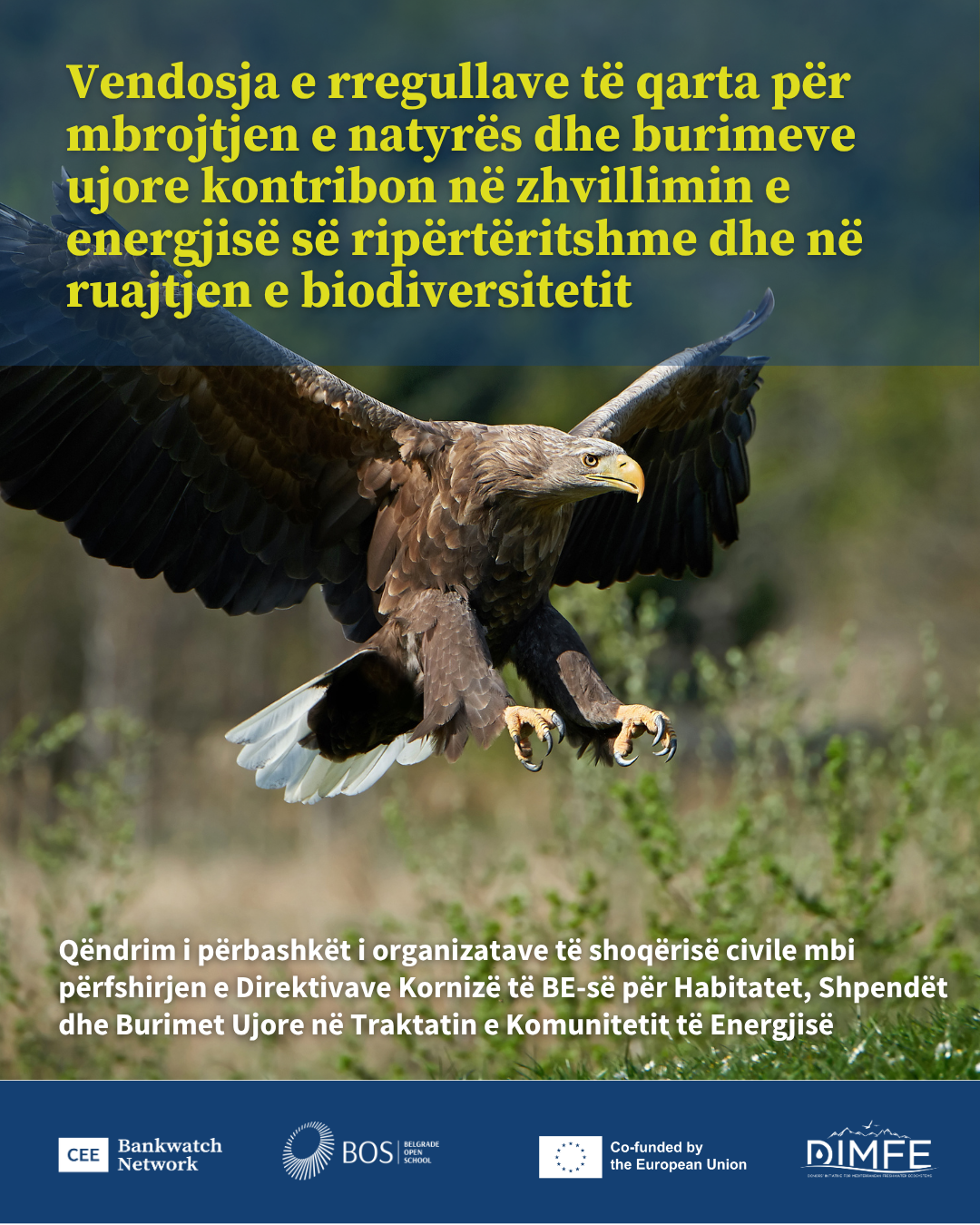 Clear rules on nature and water benefit renewable energy development and biodiversity