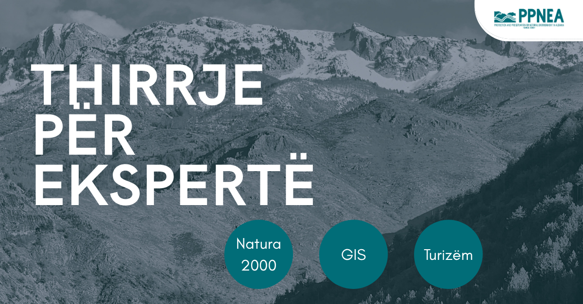 Thirrje për ekspertë