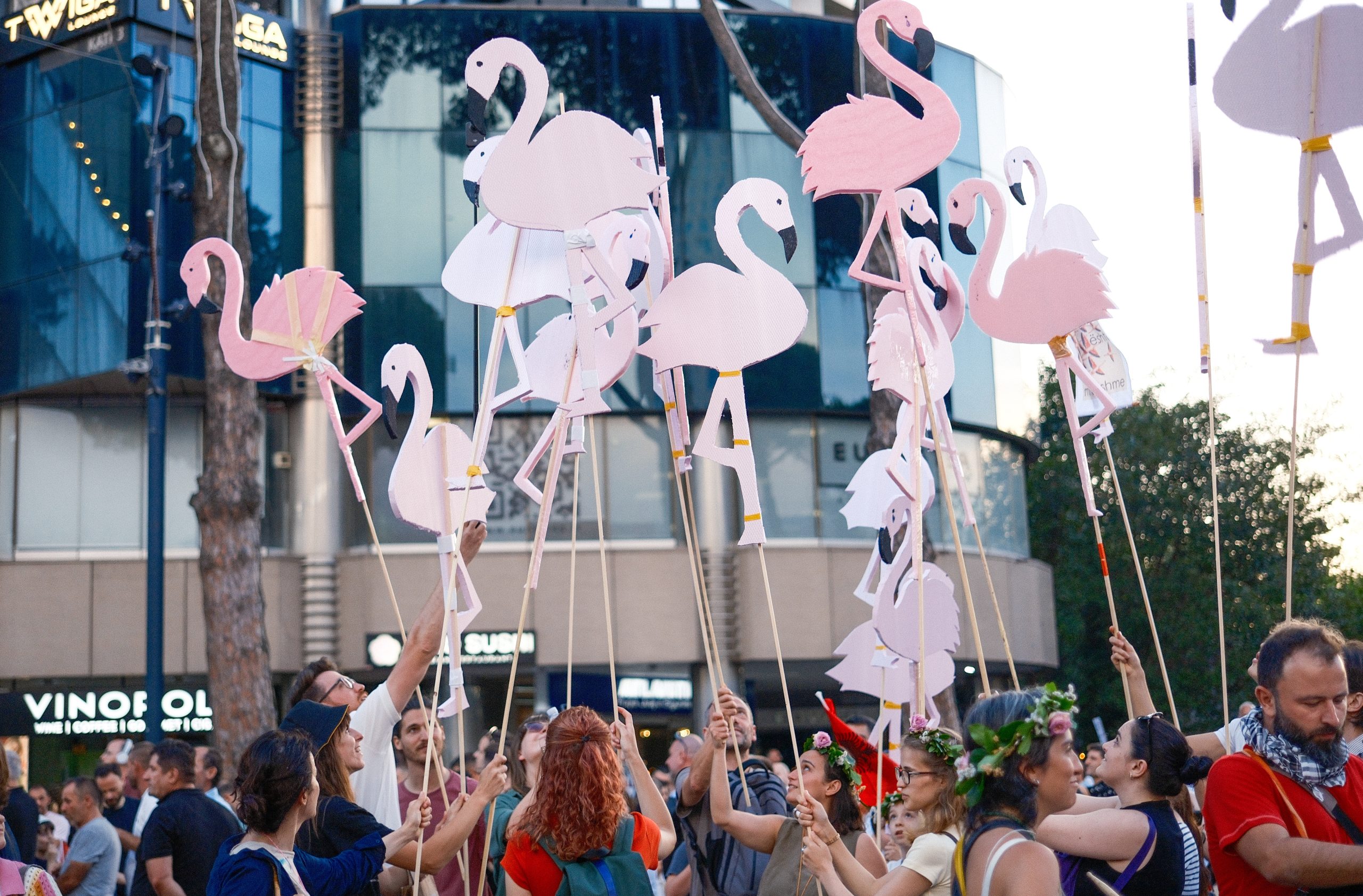 NJOFTIM PËR SHTYP: PARLAMENTI EVROPIAN MBËSHTET NATYRËN NDËRSA “REVOLUCIONI I FLAMINGOVE” NË SHQIPËRI MBËRRIN NË STRASBURG