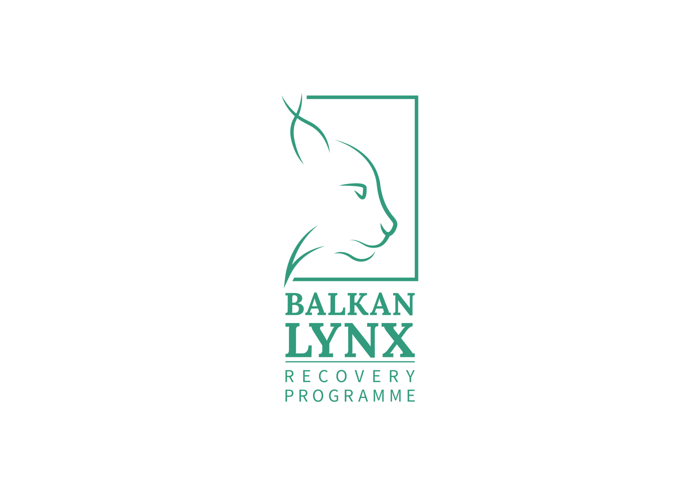 Newsletter, Summer 2026 / Issue 2 after rebranding – Balkan Lynx Recovery Programme