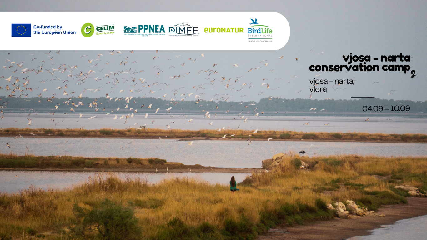 Vjosa – Narta Conservation Camp 2026