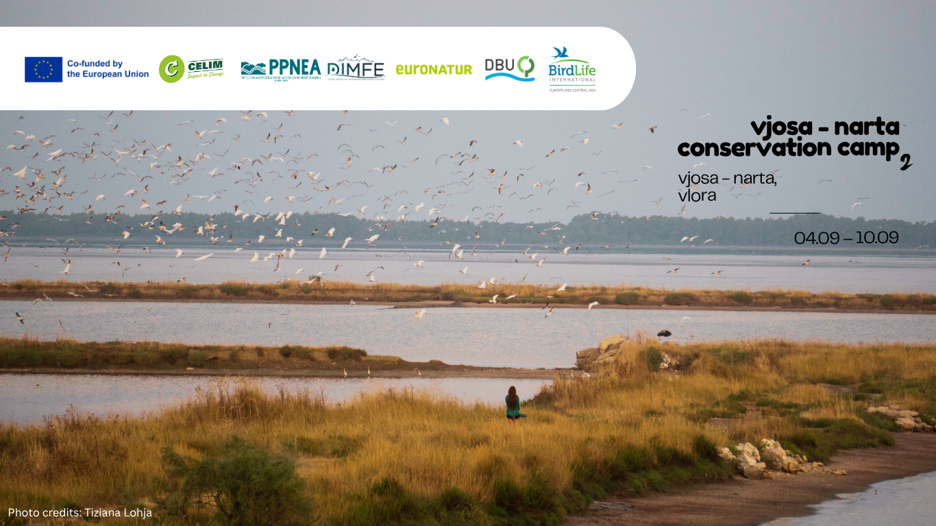 Vjosa – Narta Conservation Camp 2026