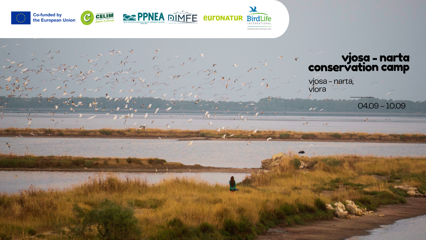 Vjosa – Narta Conservation Camp 2026