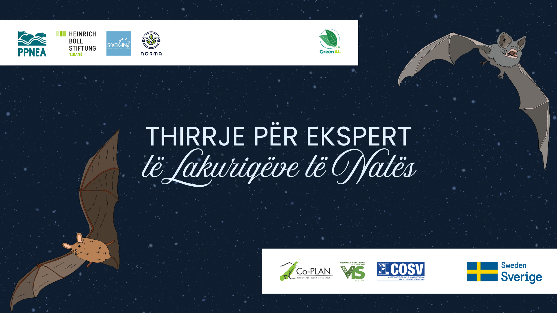 Thirrje për Aplikime: Ekspert i Lakuriqëve të Natës