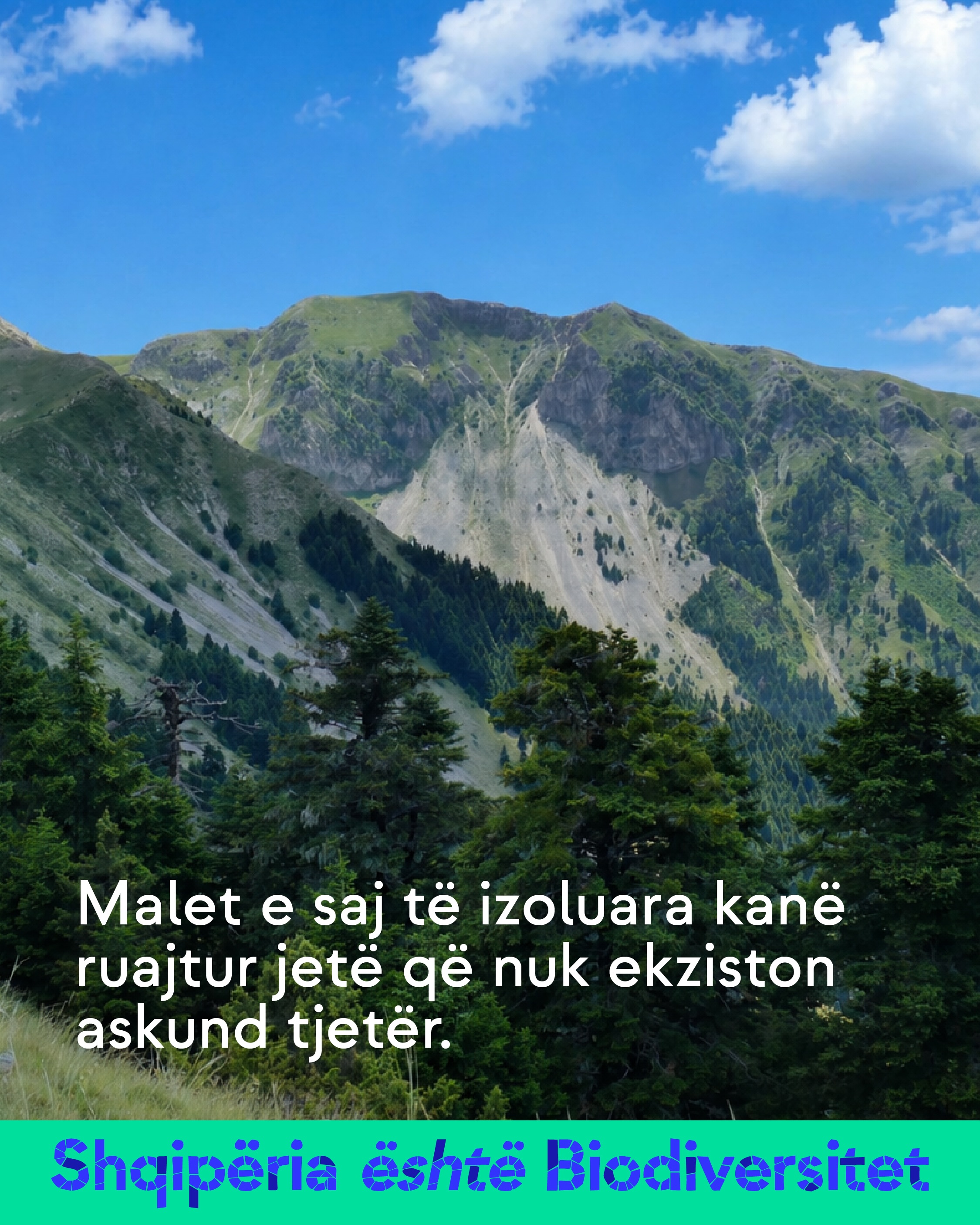 Shpate malore të gjelbra me pisha në plan të parë, nën qiell me re. Tekst në imazh: Malet e saj të izoluara kanë ruajtur jetë që nuk ekziston askund tjetër.