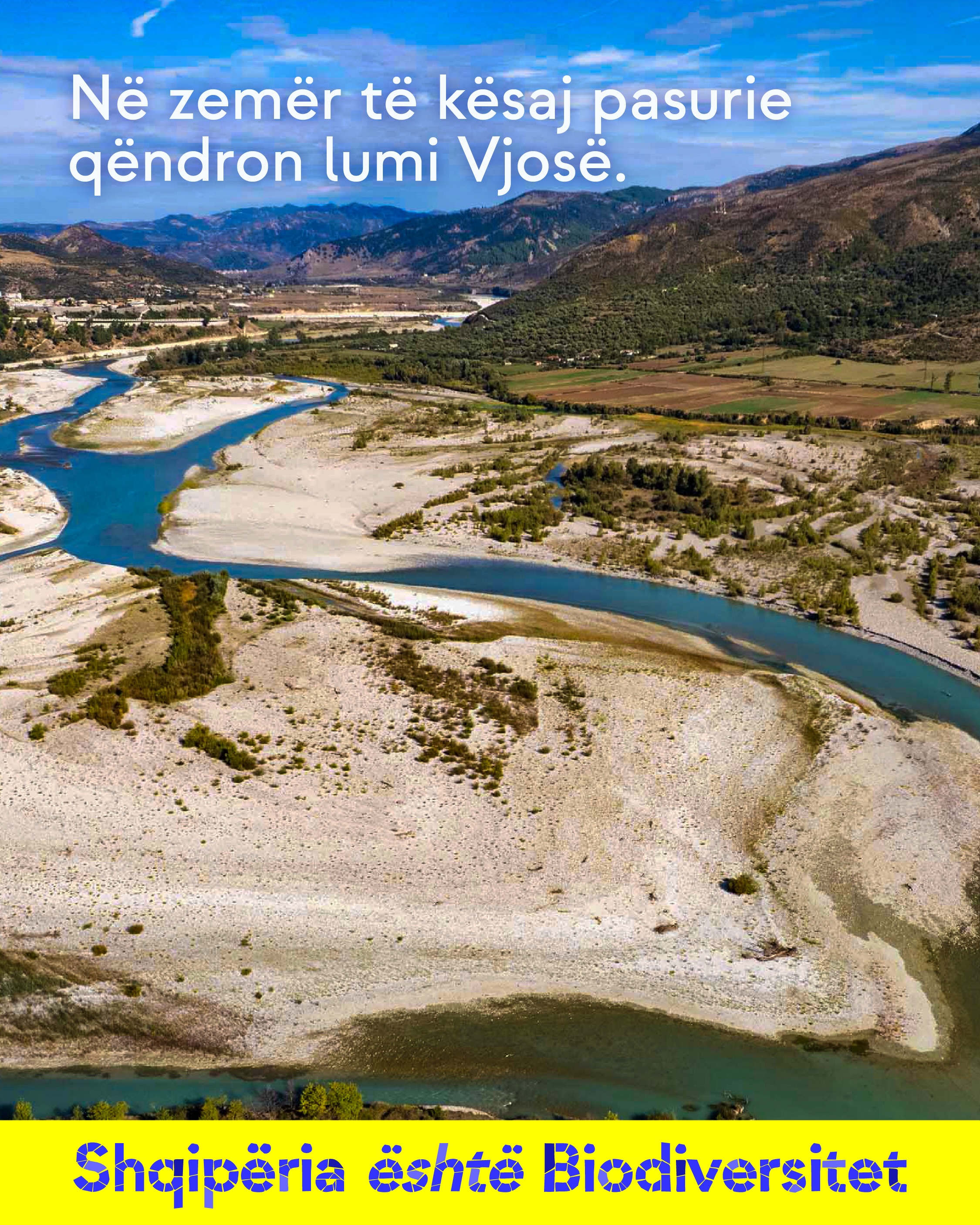 Pamje nga ajri e shtratit të gjerë zallor të një lumi me degëzime, mes fushave dhe kodrave. Tekst në imazh: Në zemër të kësaj pasurie qëndron lumi Vjosë.