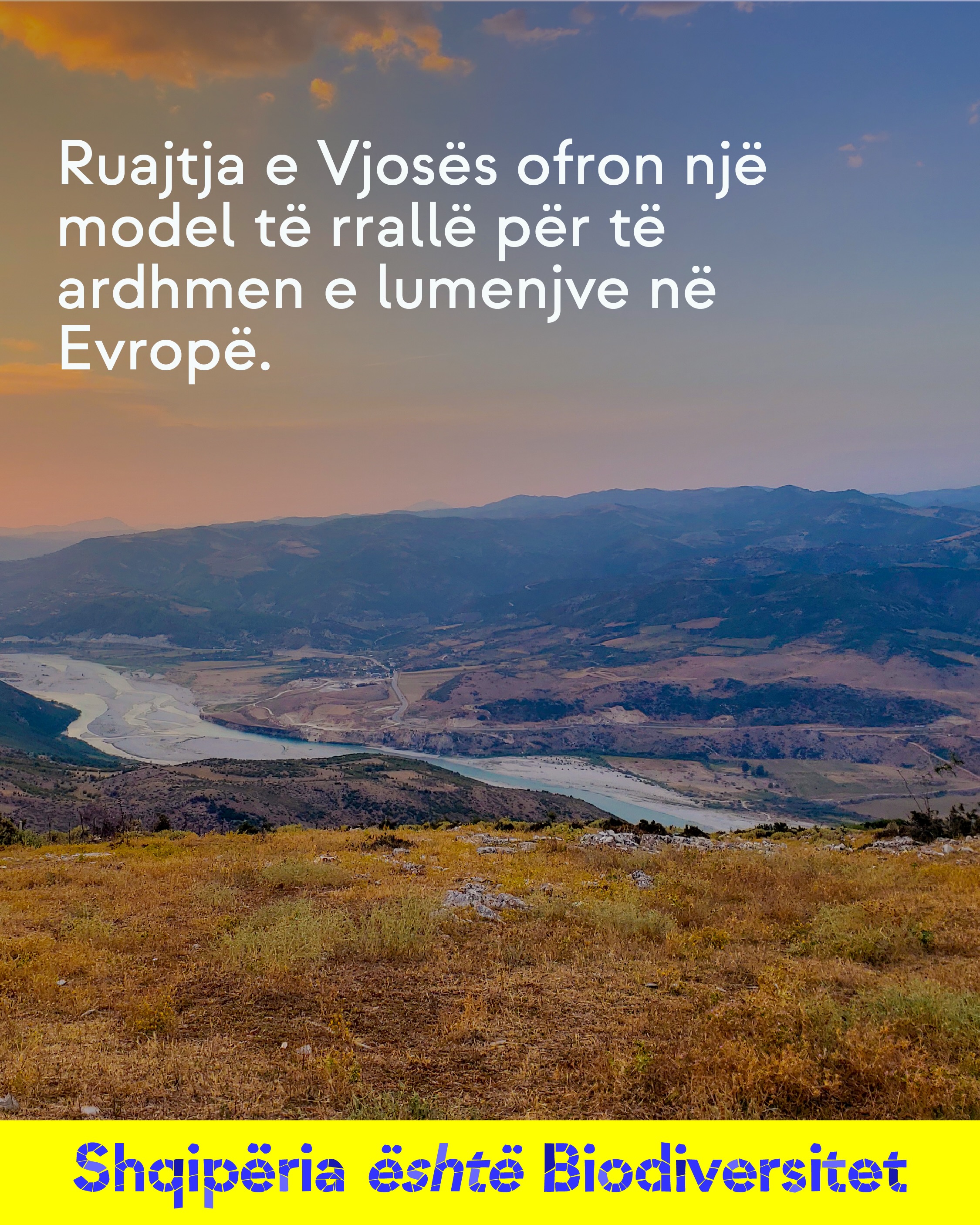 Luginë lumi e parë nga lart në muzg. Tekst në imazh: Ruajtja e Vjosës ofron një model të rrallë për të ardhmen e lumenjve në Evropë.