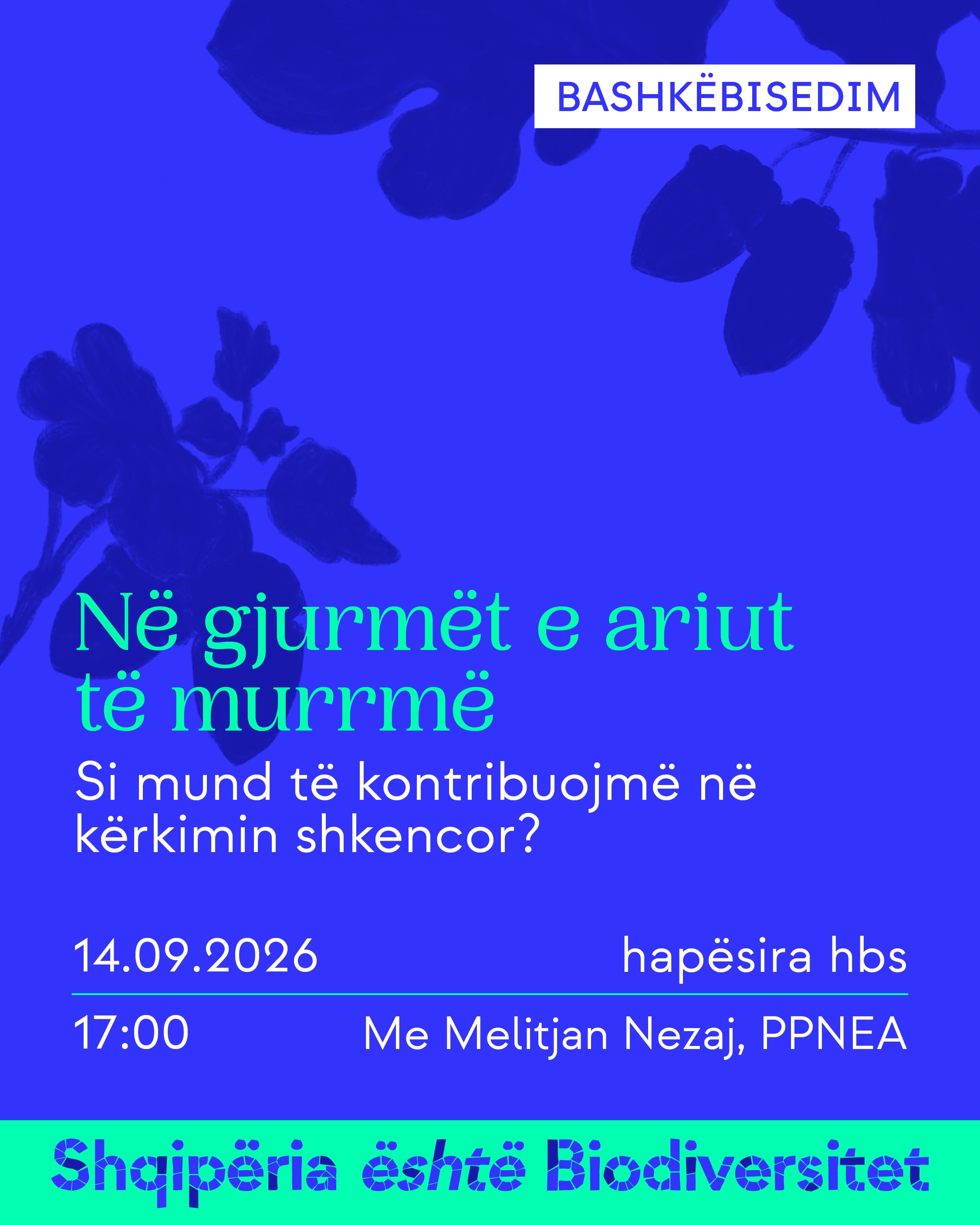 Poster i aktivitetit. Tekst në imazh: Bashkëbisedim. Në gjurmët e ariut të murrmë. Si mund të kontribuojmë në kërkimin shkencor? 14.09.2026, ora 17:00, hapësira hbs. Me Melitjan Nezaj, PPNEA. Shqipëria është Biodiversitet.