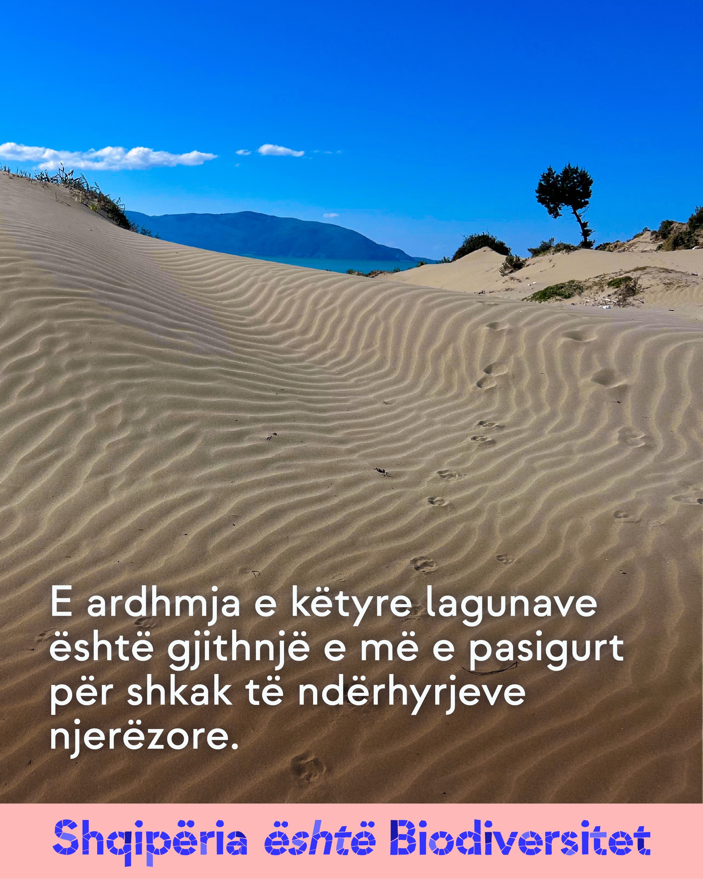 Dunë rëre me valëzime dhe gjurmë, me male në sfond. Tekst në imazh: E ardhmja e këtyre lagunave është gjithnjë e më e pasigurt për shkak të ndërhyrjeve njerëzore.