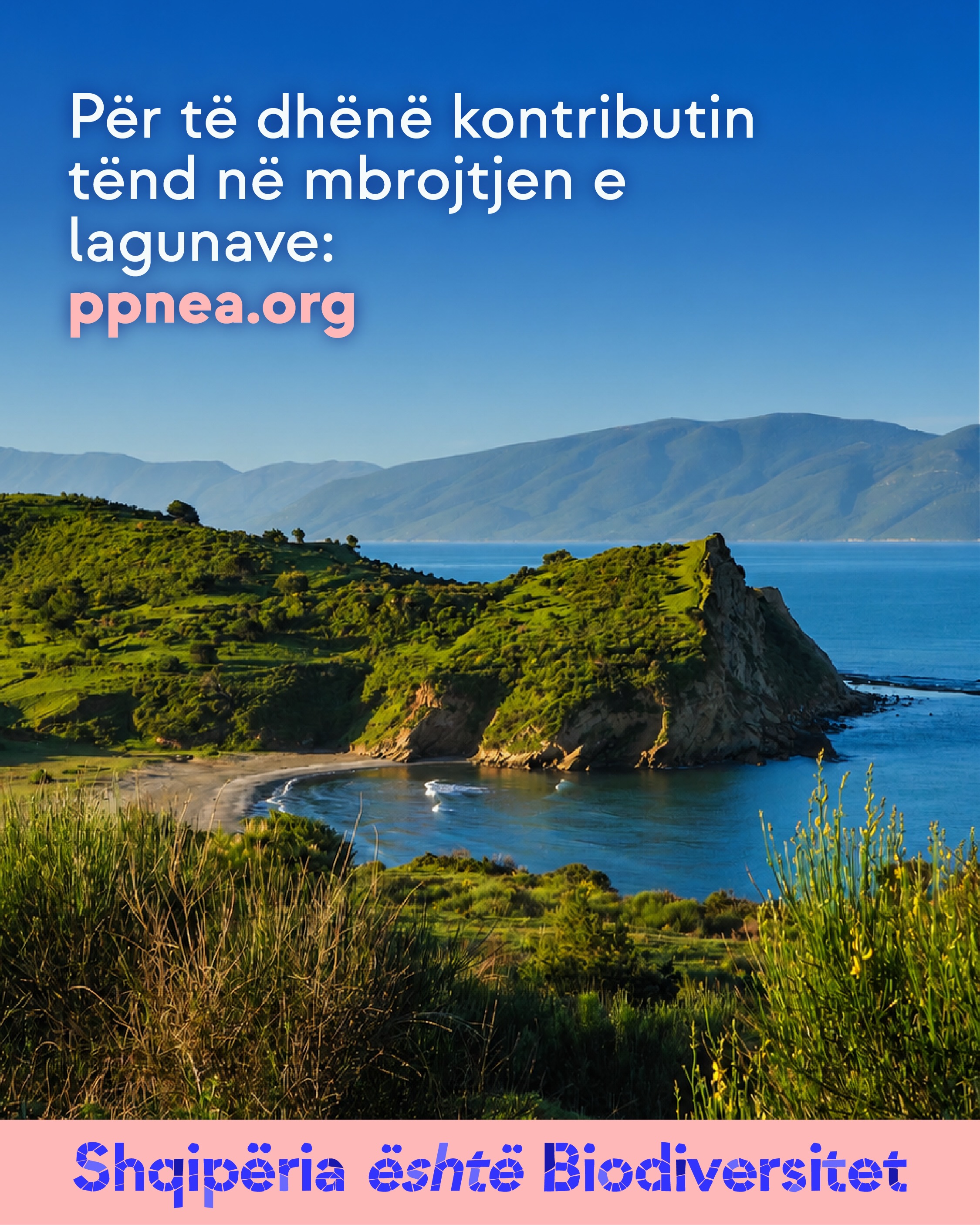 Bregdet i gjelbër shkëmbor me një gji dhe male në sfond. Tekst në imazh: Për të dhënë kontributin tënd në mbrojtjen e lagunave: ppnea.org
