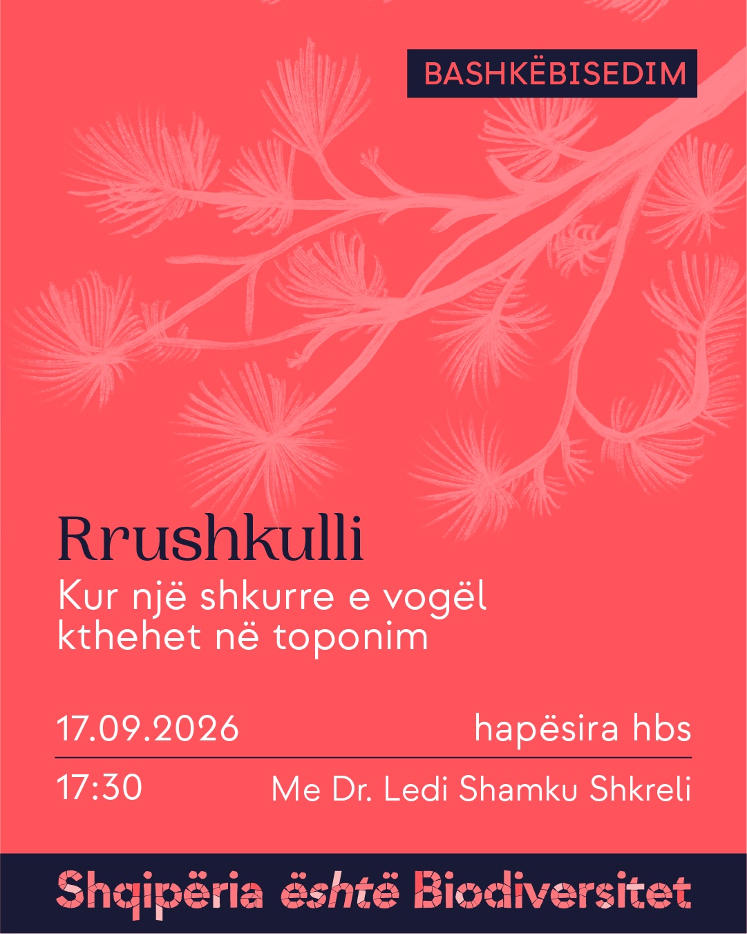 Poster i aktivitetit. Tekst në imazh: Bashkëbisedim. Rrushkulli. Kur një shkurre e vogël kthehet në toponim. 17.09.2026, ora 17:30, hapësira hbs. Me Dr. Ledi Shamku Shkreli. Shqipëria është Biodiversitet.