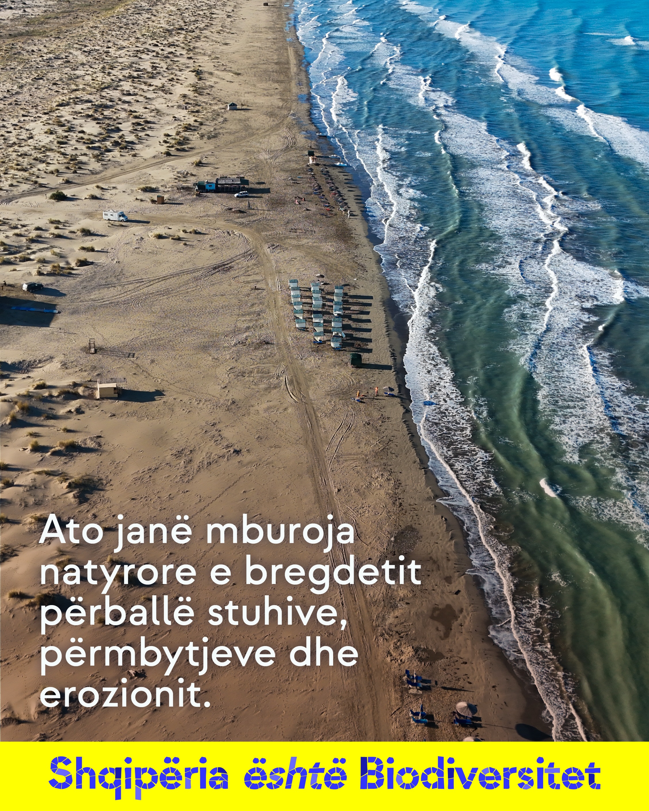 Pamje nga ajri e një plazhi ranor me dallgë. Tekst në imazh: Ato janë mburoja natyrore e bregdetit përballë stuhive, përmbytjeve dhe erozionit.