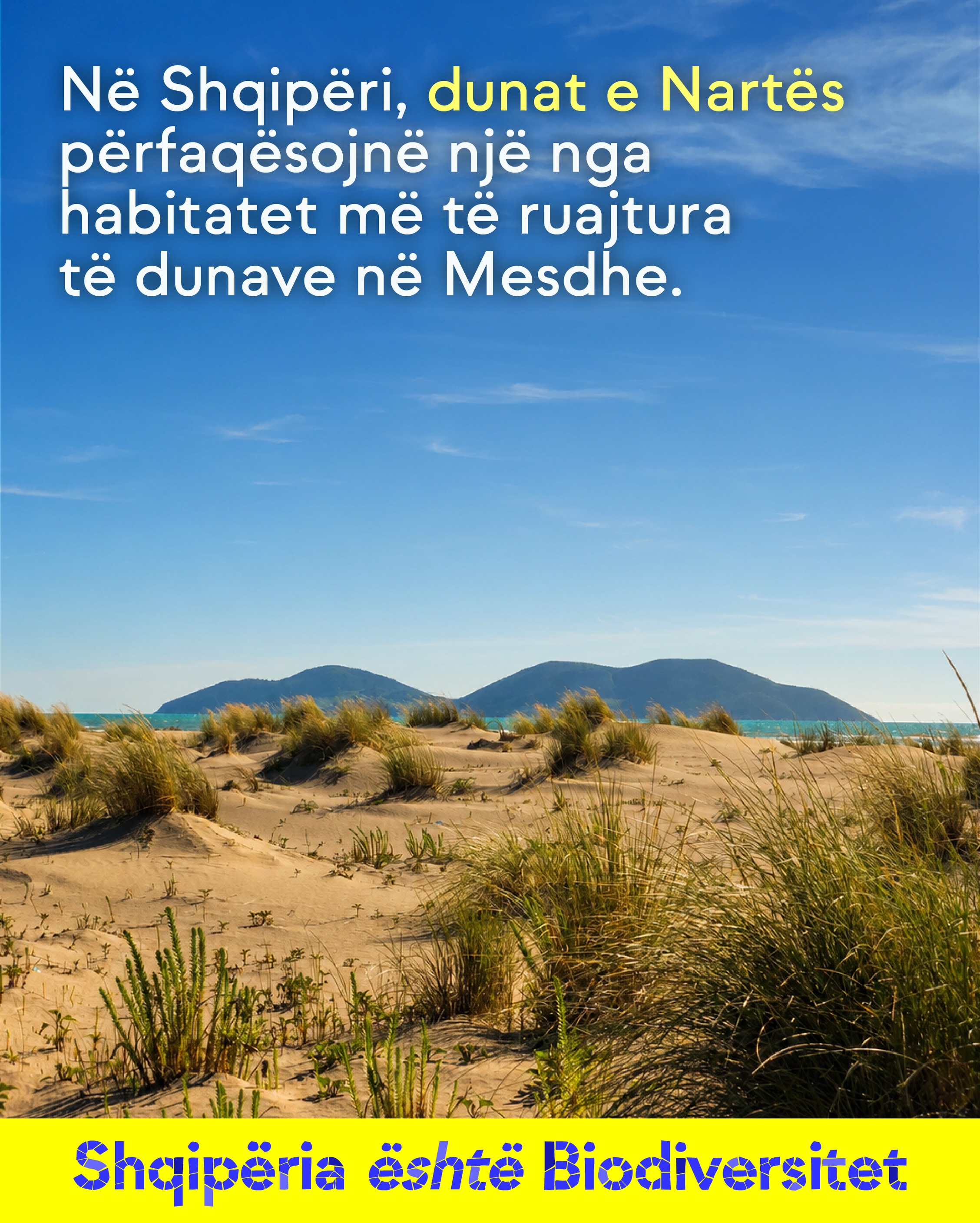 Duna me bimësi dhe kodra në horizont. Tekst në imazh: Në Shqipëri, dunat e Nartës përfaqësojnë një nga habitatet më të ruajtura të dunave në Mesdhe.