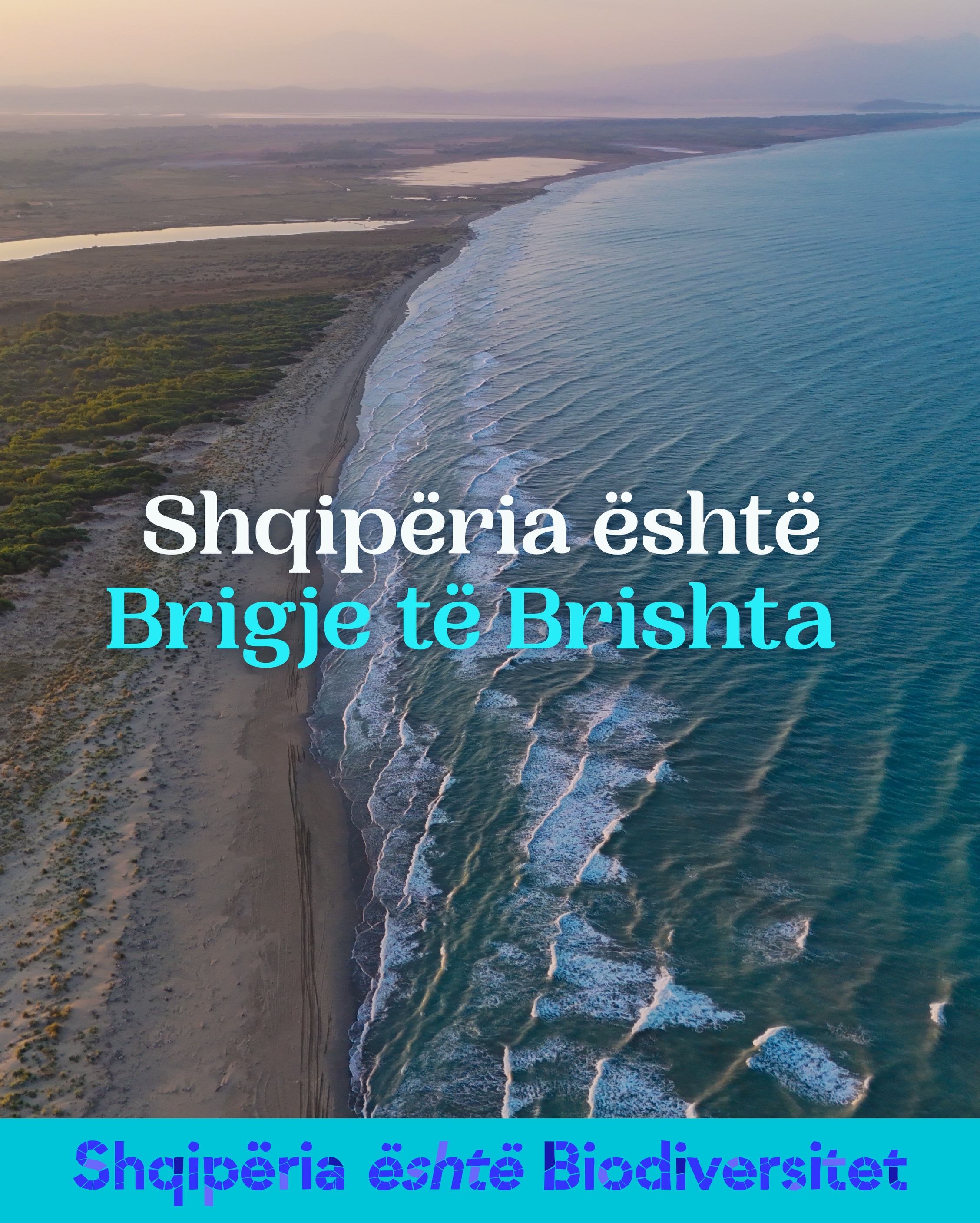 Pamje nga ajri e një vije bregdetare ranore me dallgë dhe laguna në sfond. Tekst në imazh: Shqipëria është Brigje të Brishta.