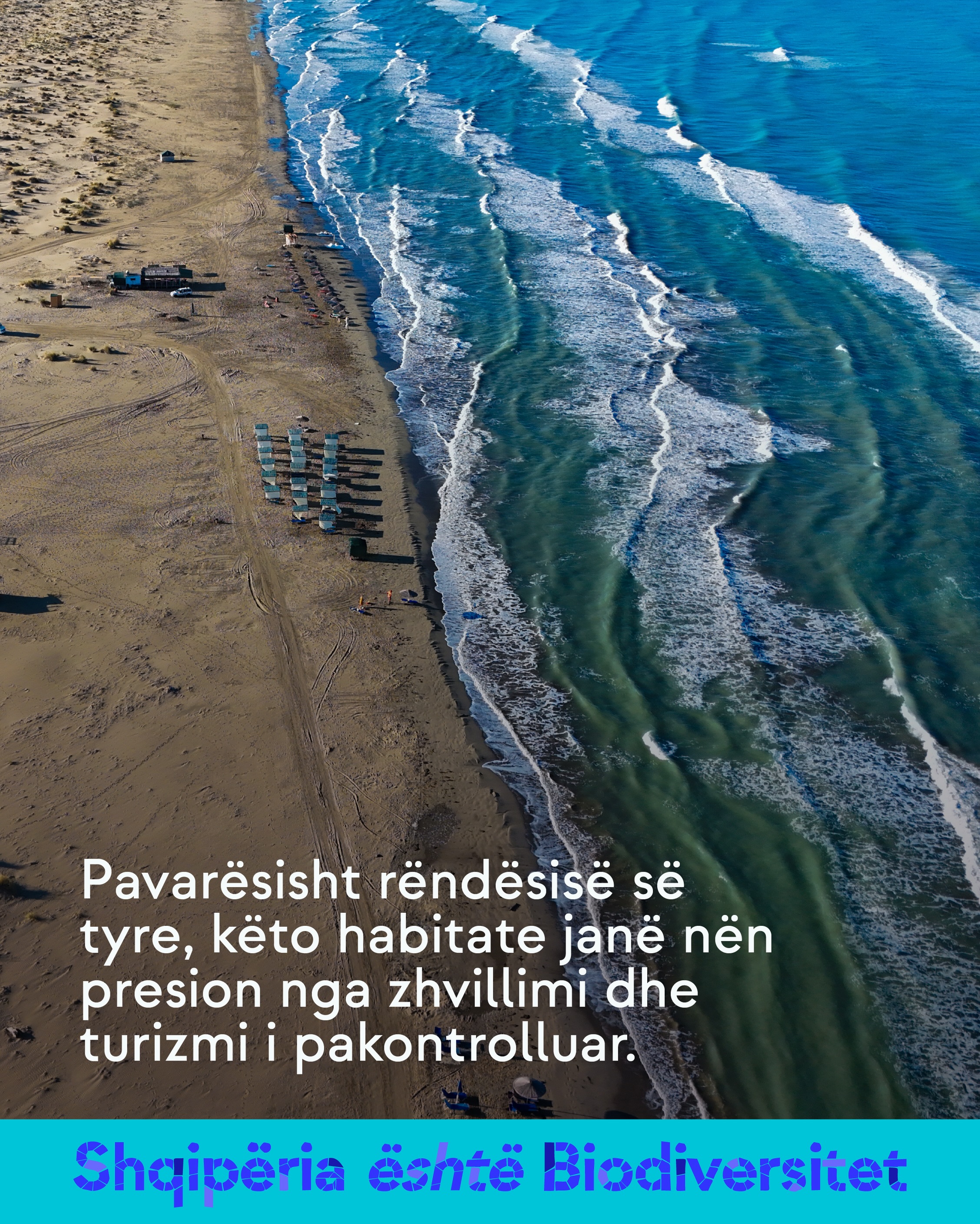 Pamje nga ajri e një plazhi ranor me çadra dhe dallgë. Tekst në imazh: Pavarësisht rëndësisë së tyre, këto habitate janë nën presion nga zhvillimi dhe turizmi i pakontrolluar.