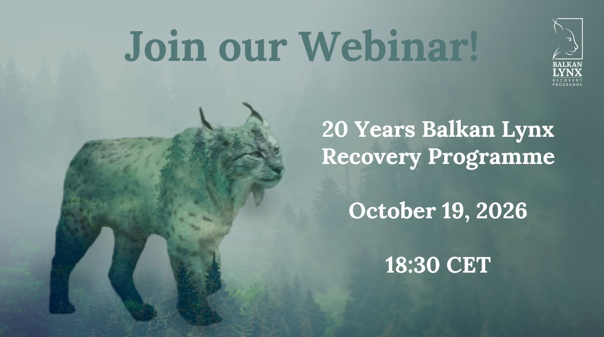 Webinar “20 Years Balkan Lynx Recovery Programme”