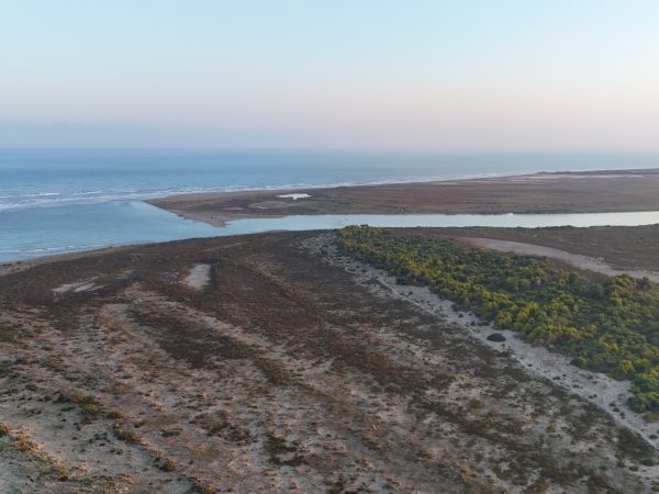 Convivial Waterfronts – Reimagining urban coastal conservation for just sustainability transformations