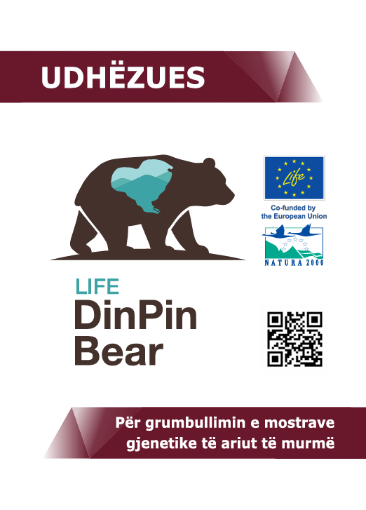 Udhëzues për grumbullimin e mostrave gjenetike të ariut të murrmë