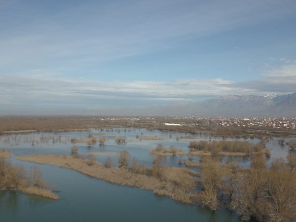 Shkodra Ndërlidh – Restaurimi Ndërkufitar i Ekosistemeve në Shqipëri dhe Mal të Zi 
